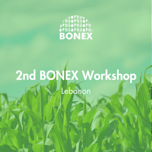 2nd Bonex Workshop in Lebanon