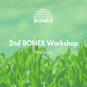 2nd Bonex Workshop in Morocco