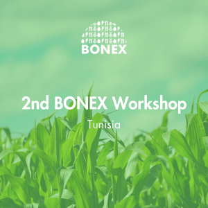 2nd Bonex Workshop in Tunisia