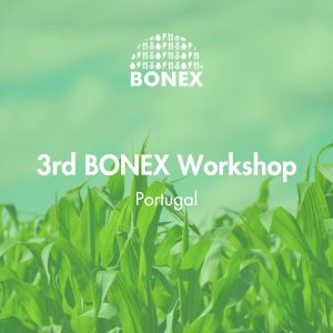 3rd Bonex Workshop in Portugal