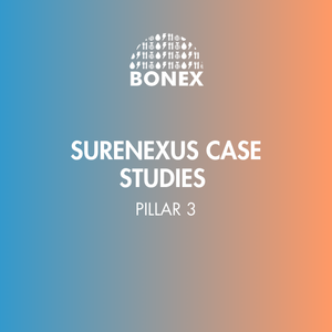 Downloads material WEFE Nexus Conference (12)