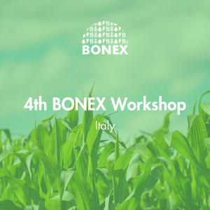3rd Bonex Workshop in Italy