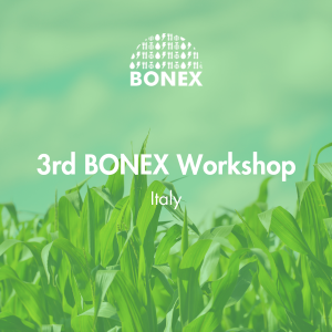 3rd Bonex Workshop in Italy