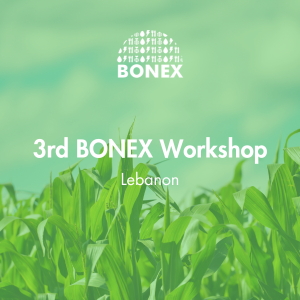 3rd Bonex Workshop in Lebanon