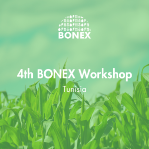 3rd Bonex Workshop in Tunisia