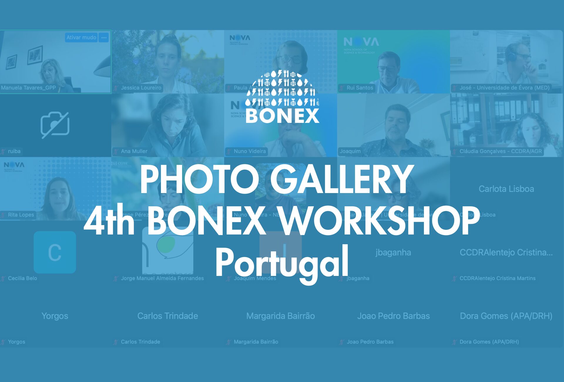 Photo gallery of the 4th BONEX Workshop in Portugal