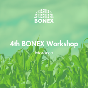 4th Bonex Workshop in Morocco