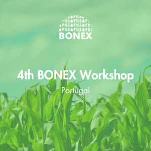 4th Bonex Workshop in Portugal