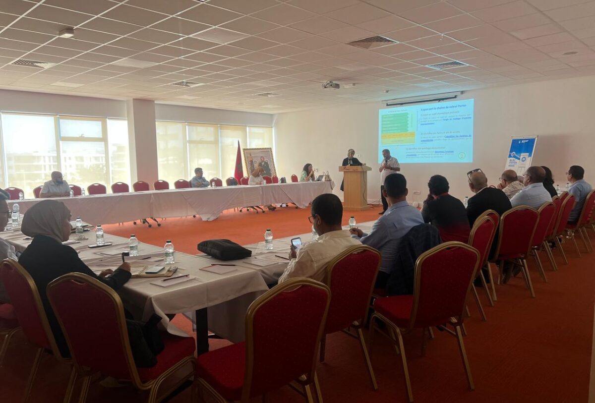 4th Moroccan BONEX Workshop