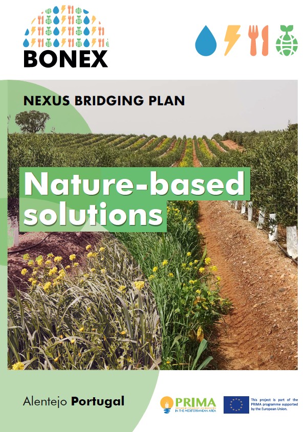 BONEX Nexus Bridging Plan Portugal