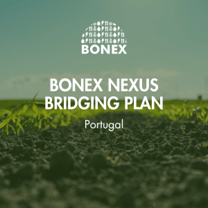 BONEX Nexus Bridging Plan Portugal