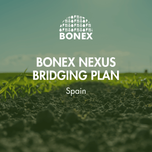 BONEX Nexus Bridging Plan Spain