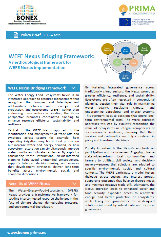 8_Policy Brief_WEFE BONEX