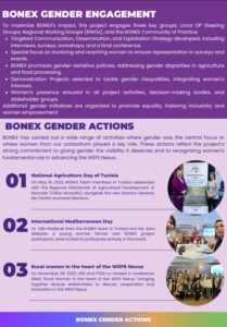 Cover BONEX Gender Engagement 2025